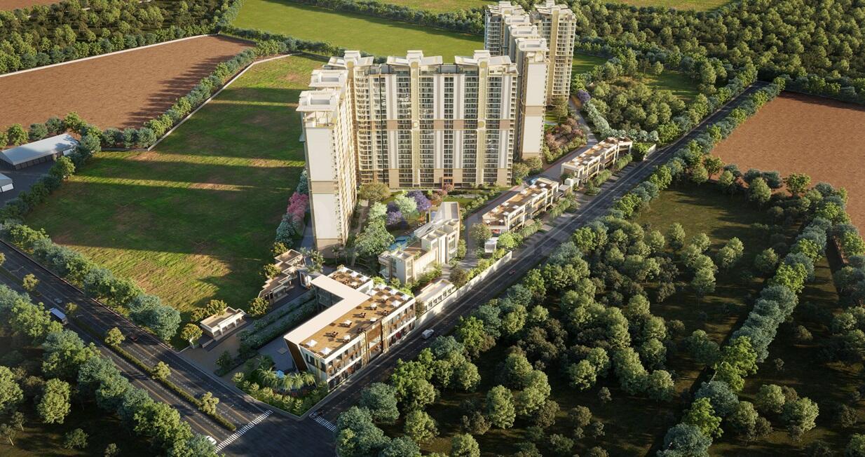 Affinity Belgravia